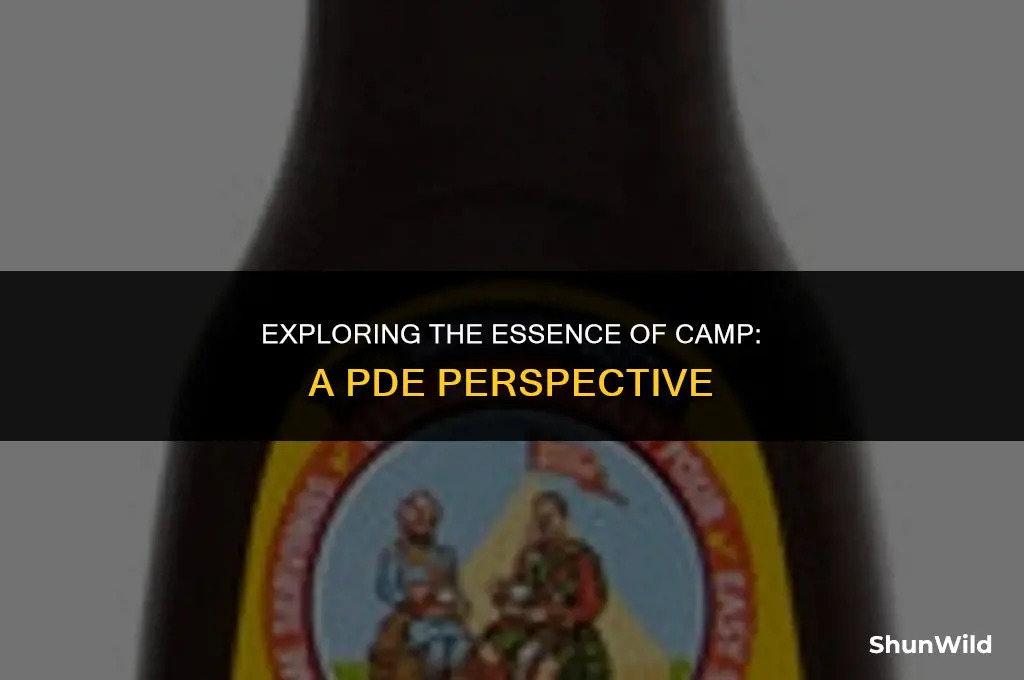 what pde makes camp