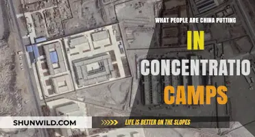 China's Concentration Camps: Unveiling the Plight of Detained Minorities