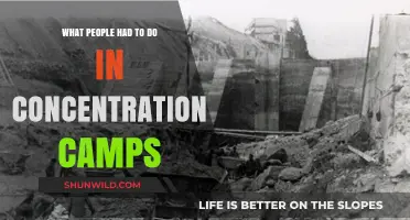 Life in Concentration Camps: Forced Labor, Starvation, and Survival