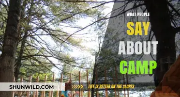 Echoes of Adventure: What People Say About Camp