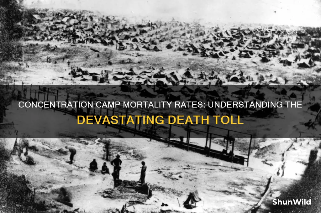 what percent of concentration camp people died