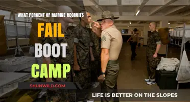 Marine Boot Camp Failure Rates: Understanding Recruit Challenges and Success