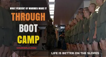 Marine Boot Camp Completion Rates: How Many Recruits Succeed?