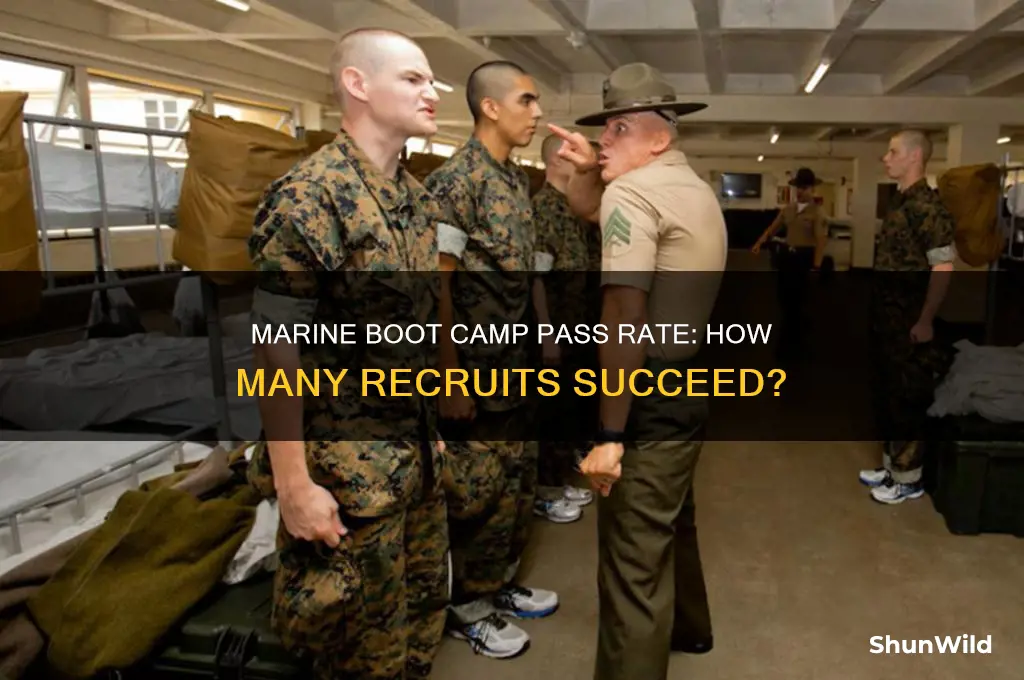 what percent of people pass marine boot camp