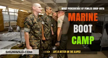 Female Dropout Rates in Marine Boot Camp: Unveiling the Statistics