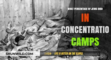 The Devastating Toll: Jewish Deaths in Concentration Camps