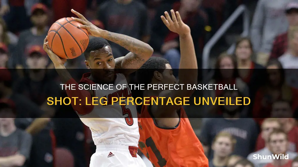 what percentage of legs is in a basketball shot