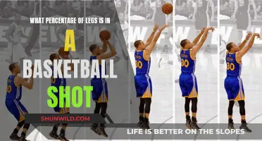 Legs' Role in Basketball Shots: Understanding the Percentage