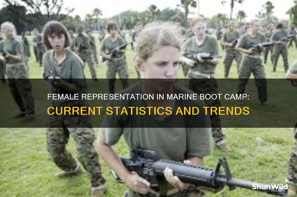 what percentage of marines are female at boot camp