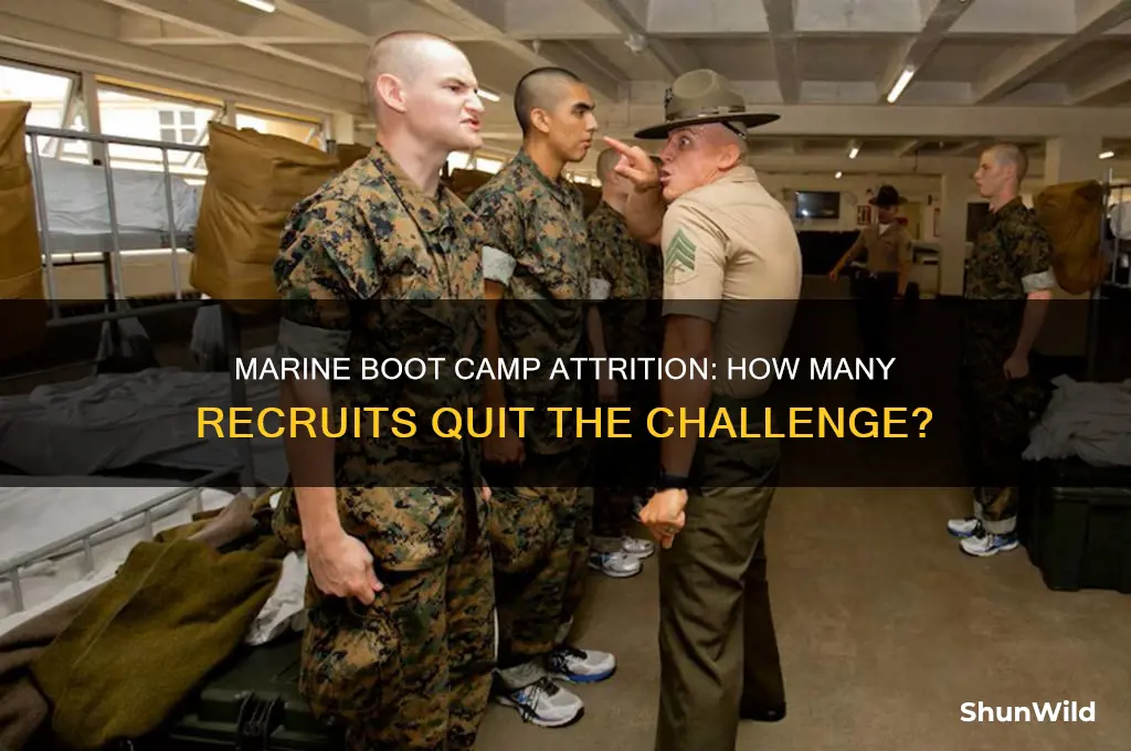 what percentage of people quit in marine boot camp