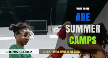 Exploring the Exciting Phases of Summer Camps for Kids