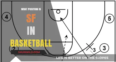 The SF Position: Understanding Basketball's Small Forwards