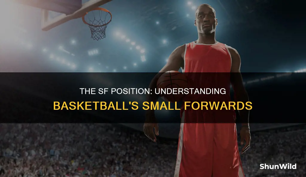 what position is sf in basketball