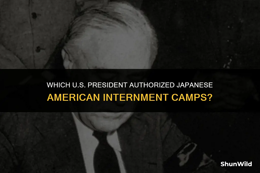 what president made internmant camps