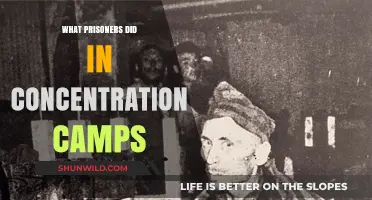 Life in Concentration Camps: Prisoners' Daily Struggles and Survival Tactics
