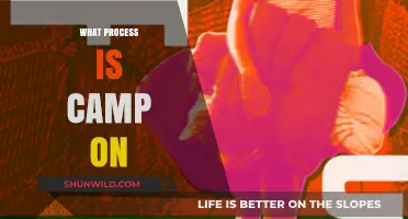 Unveiling the Mystery: What Process is Camp On?