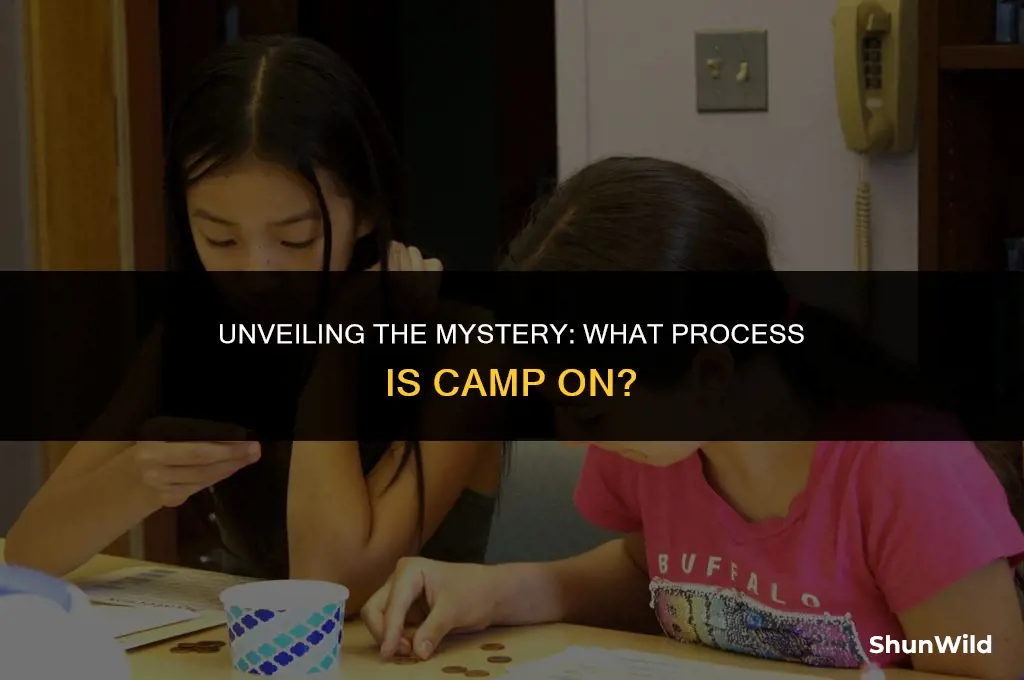 what process is camp on