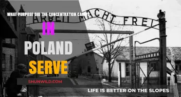 Poland's Concentration Camps: Uncovering Their Dark Purpose and Legacy