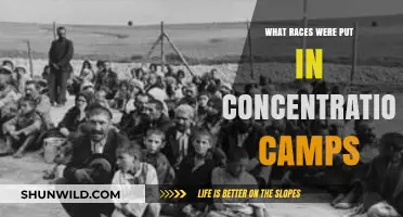 Concentration Camps: The Targeted Races and Their Tragic Histories