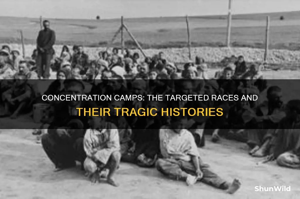 what races were put in concentration camps