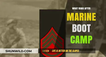 Life After Marine Boot Camp: Understanding Your Rank and Responsibilities