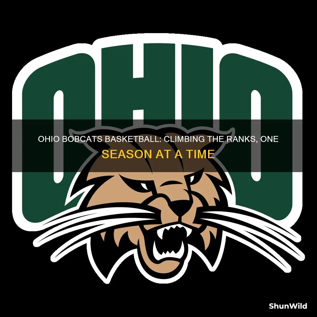 what rank are ohio bobcats basketball