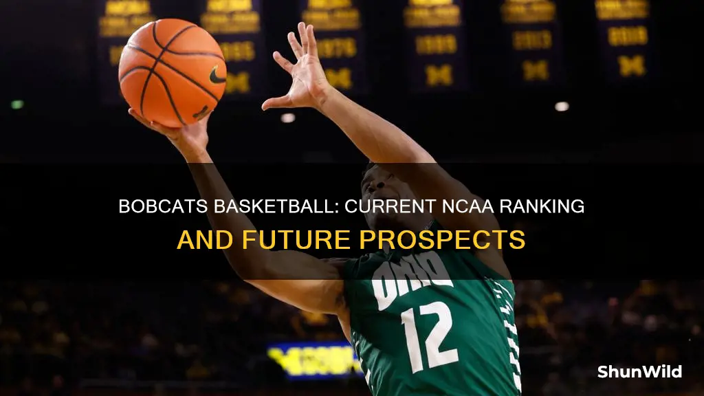 what rank are ohio bobcats basketball