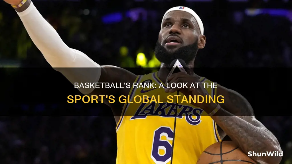 what rank is basketball in sports