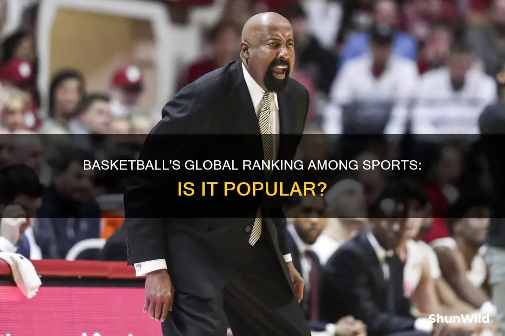 what rank is basketball in sports