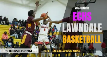 Ech's Lawndale Hoops: Climbing the Ranks, One Game at a Time