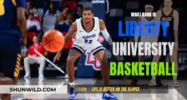 Liberty University Basketball's Rising Rank: A Season in Review