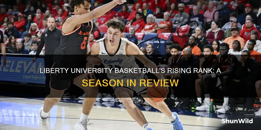 what rank is liberty university basketball