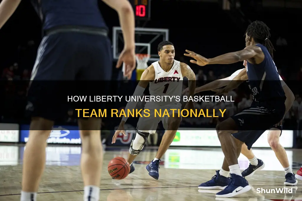 what rank is liberty university basketball