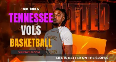 Tennessee Vols Basketball: Climbing the Ranks