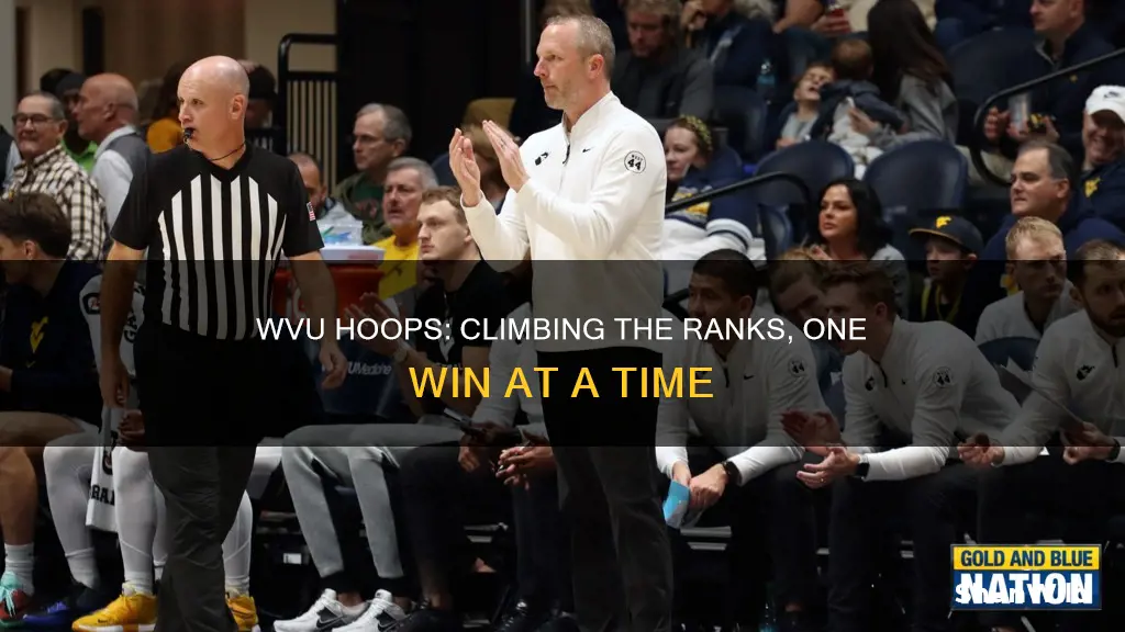 what rank is wvu basketball