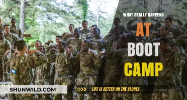 Unveiling Boot Camp Secrets: The Reality Behind the Rigorous Training