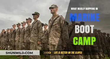 Inside Marine Boot Camp: The Harsh Realities and Transformative Journey