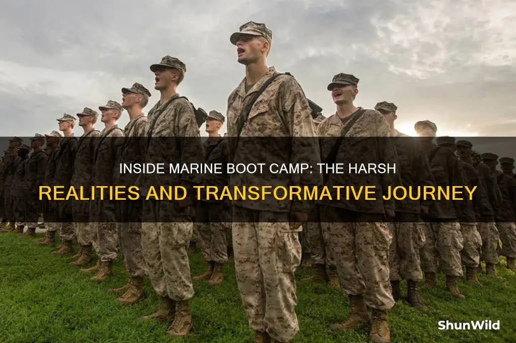 what really happens in marine boot camp