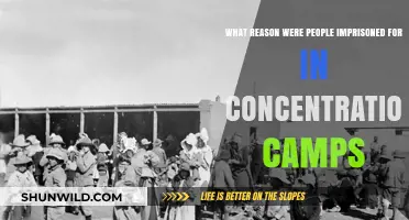 Reasons for Imprisonment in Concentration Camps: A Historical Overview