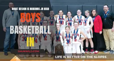 Nokomis Jr High Boys Basketball: Regional Champs?