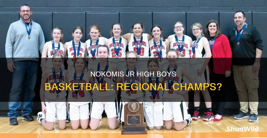 what region is nokomis jr high boys basketball in