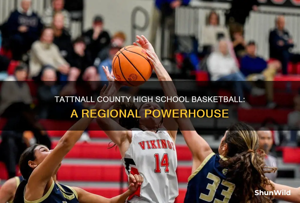 what region is tattnall county high school basketball