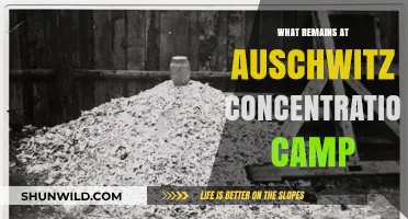 Auschwitz's Haunting Legacy: What Remains at the Concentration Camp