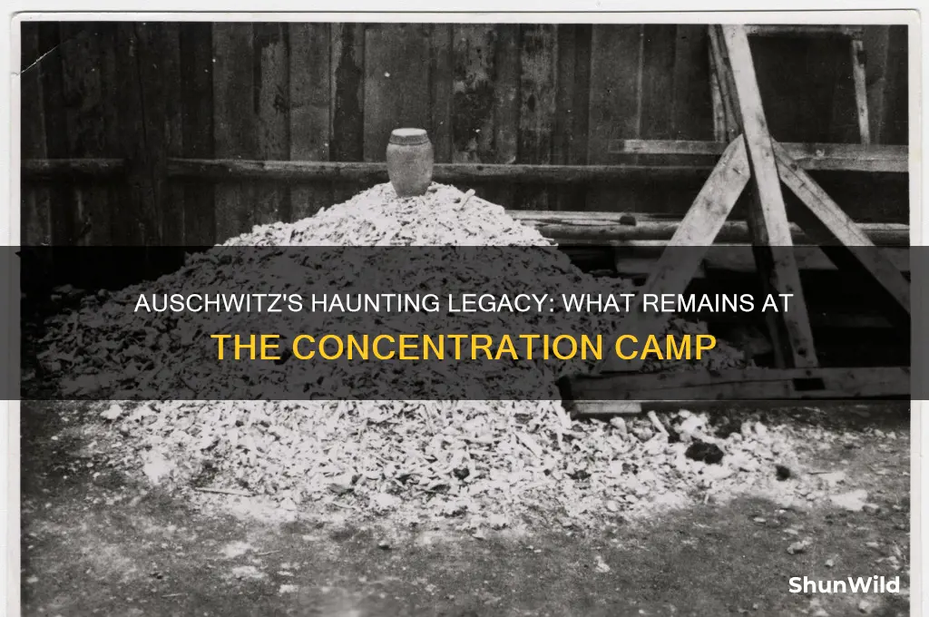 what remains at auschwitz concentration camp