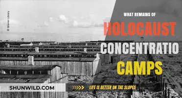 Echoes of Tragedy: Preserving Holocaust Concentration Camps' Haunting Legacy