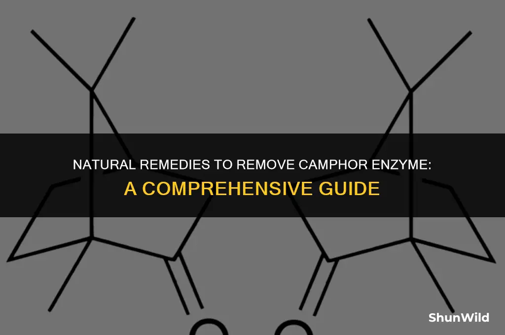 what removes camp esterase