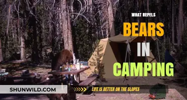 Nature's Deterrents: How to Keep Bears Away While Camping