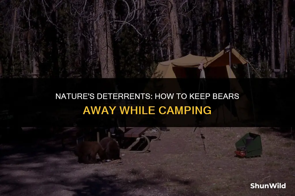 what repels bears in camping