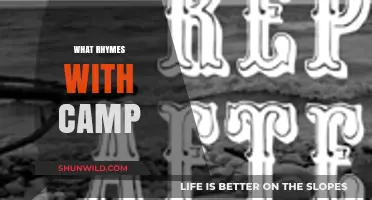 Camp Rhyme Quest: Discovering Words That Perfectly Match with Camp