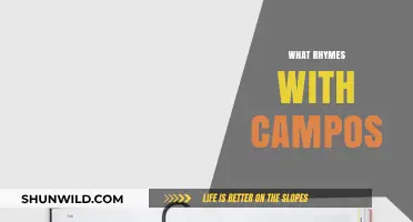 Exploring Rhymes: What Words Harmonize with 'Campos'?
